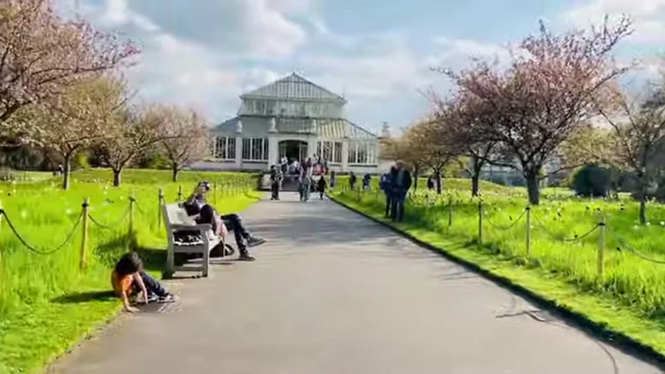 Path leading to a glasshouse through spring meadow at Kew Gardens