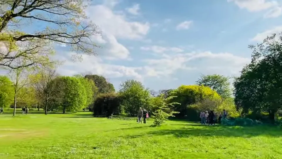 Wide spring lawn with trees and visitors under a blue sky at Kew Gardens